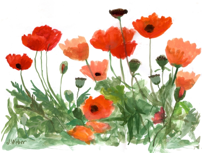Greeting cards - Watercolor Poppies